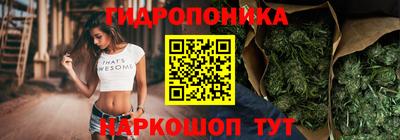 дмт Шебекино