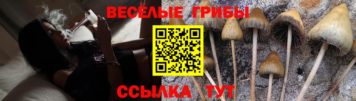 Галлюциногенные грибы GOLDEN TEACHER  Вход с VPN  Краснознаменск 